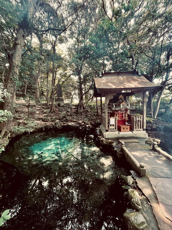 【埼玉県内発】 開運日に行く!常陸3社巡り~御岩神社・大甕神社・泉神社~ 悪縁を断ち切り良縁を引き寄せる!?常陸の最強神秘探検ツアー!3